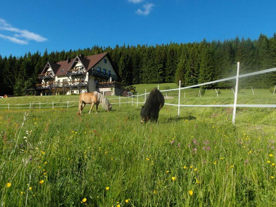 Stronie ŚląskieWichrowe Wzgorze别墅 外观 照片